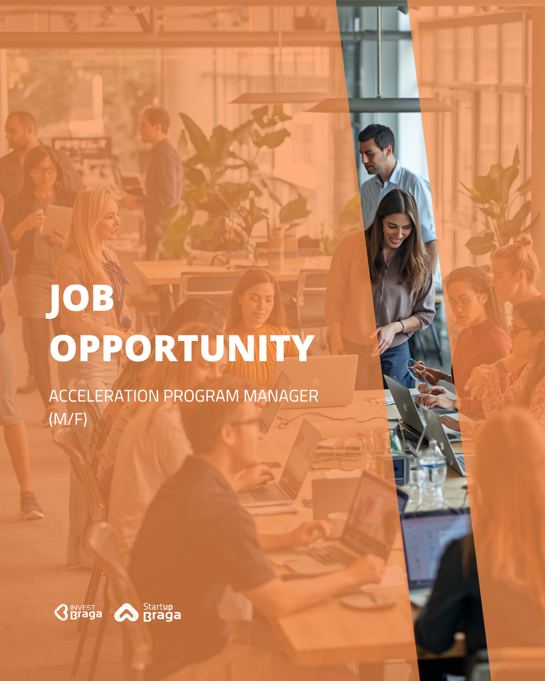 /Content/Images/Estamos a recrutar | Gestor(a) de Programas de Aceleração